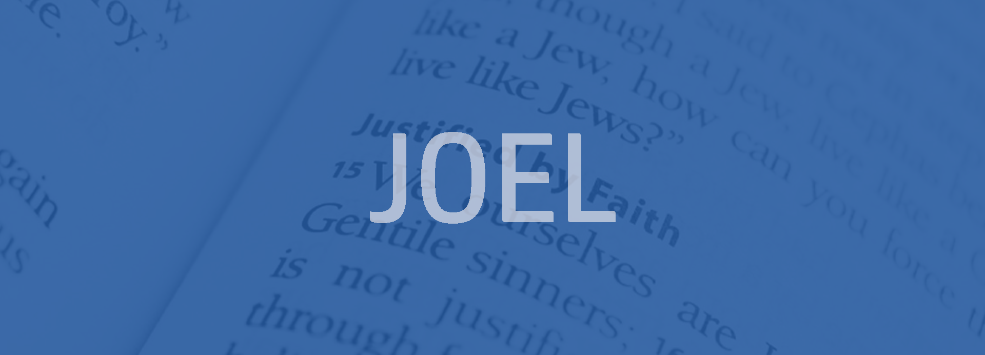 Joel Bible outline